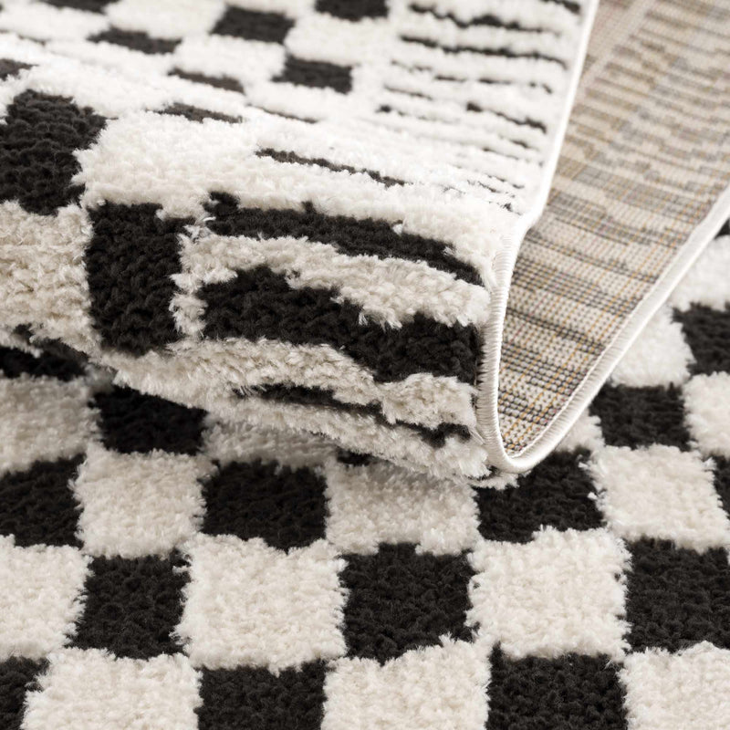 Leryn Black & White Checkered Area Rug