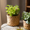 Bamboo Looking Cement Planter