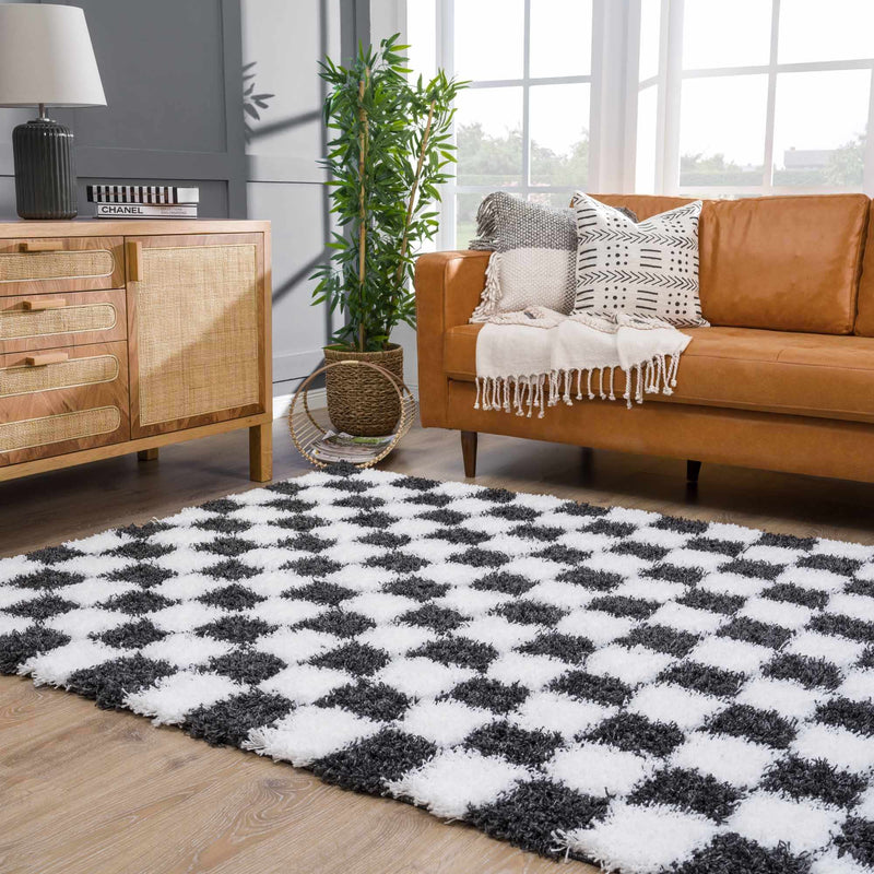 Atira Black & White Checkered Area Rug