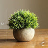 Artificial Faux Boxwood Topiary in Various Designs