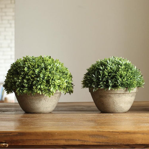 Artificial Potted Boxwood Faux Topiary