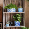 Blue Print Ceramic Vase Planter in Various Patterns