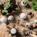 Decorative Eggshell Style Cement Planter