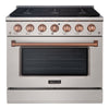 Akicon 36" Slide-in Freestanding Professional Style Gas Range with 5.2 Cu. Ft. Oven, 6 Burners, Convection Fan, Cast Iron Grates. Stainless Steel & Gold