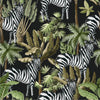 Zebras on Dark Background Wallpaper