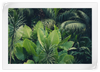 Tropical Jungle Wall Art