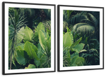 Tropical Jungle Wall Art