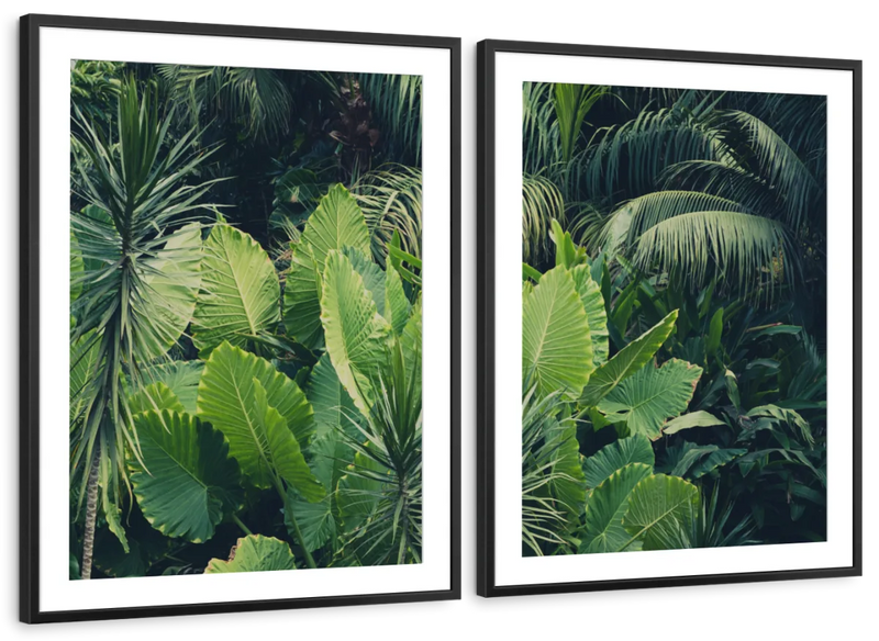 Tropical Jungle Wall Art