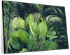 Tropical Jungle Wall Art