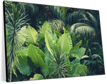 Tropical Jungle Wall Art