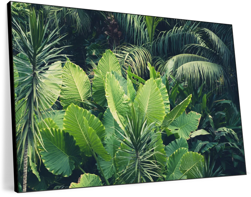 Tropical Jungle Wall Art