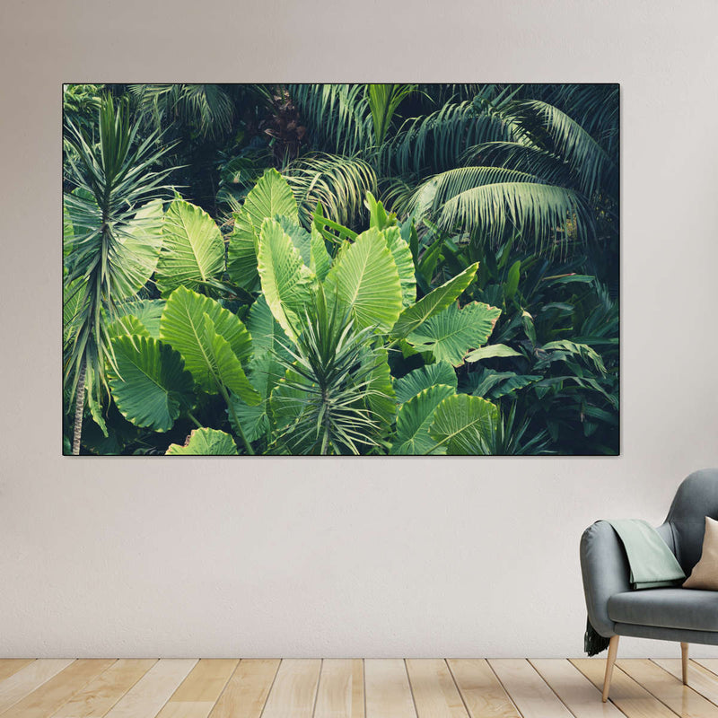 Tropical Jungle Wall Art