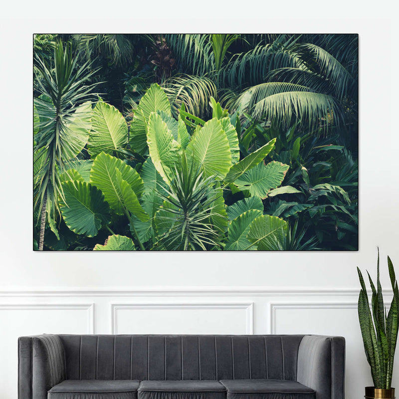 Tropical Jungle Wall Art