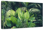 Tropical Jungle Wall Art