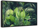 Tropical Jungle Wall Art