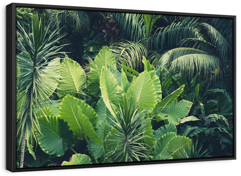 Tropical Jungle Wall Art