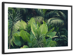 Tropical Jungle Wall Art
