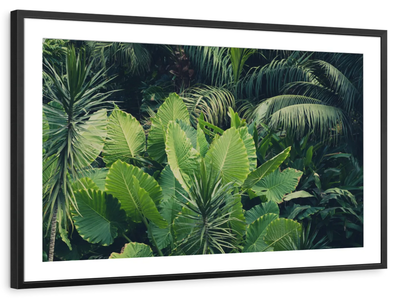 Tropical Jungle Wall Art