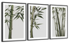 Lucky Bamboos Wall Art