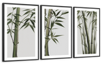 Lucky Bamboos Wall Art