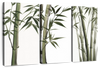 Lucky Bamboos Wall Art