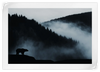 Misty Mountain Bear Wall Art