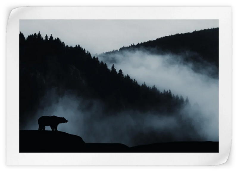 Misty Mountain Bear Wall Art