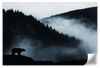 Misty Mountain Bear Wall Art
