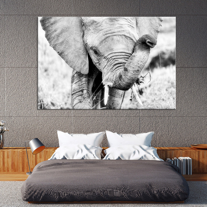 Kenyan Baby Elephant Wall Art