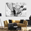 Kenyan Baby Elephant Wall Art