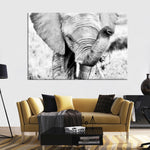 Kenyan Baby Elephant Wall Art