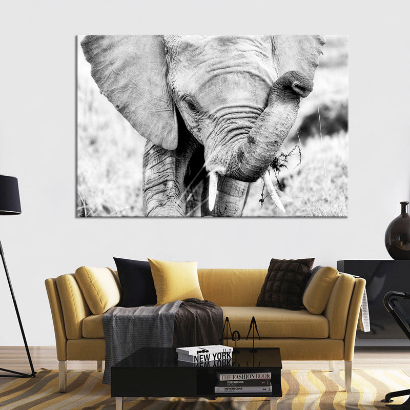 Kenyan Baby Elephant Wall Art