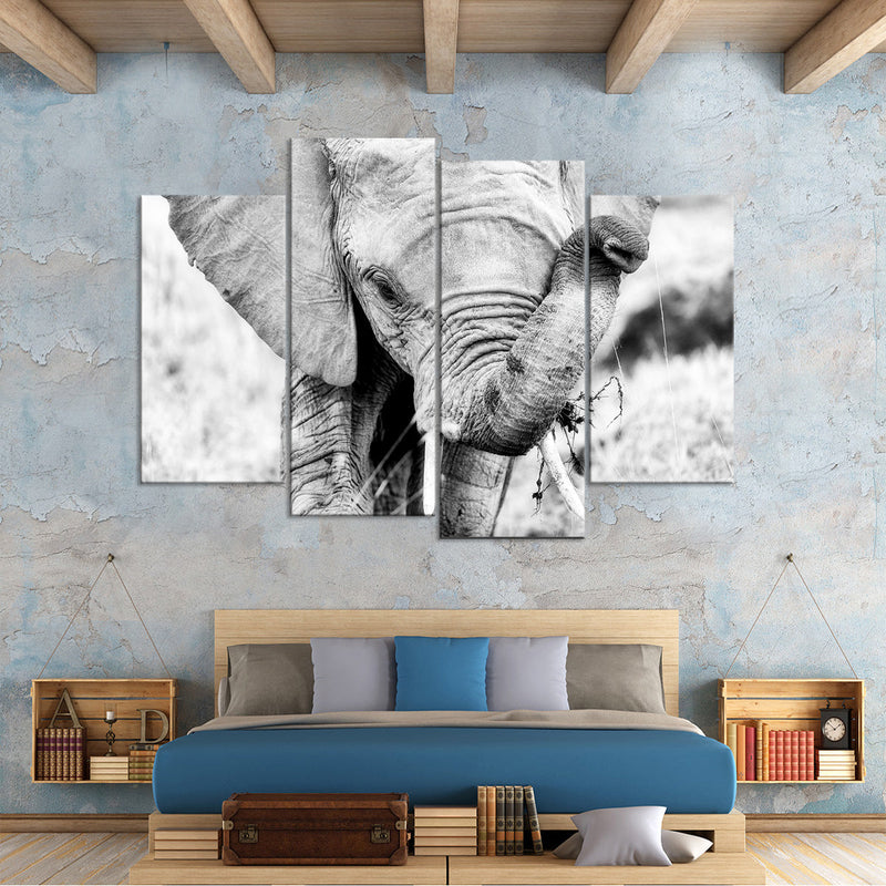 Kenyan Baby Elephant Wall Art