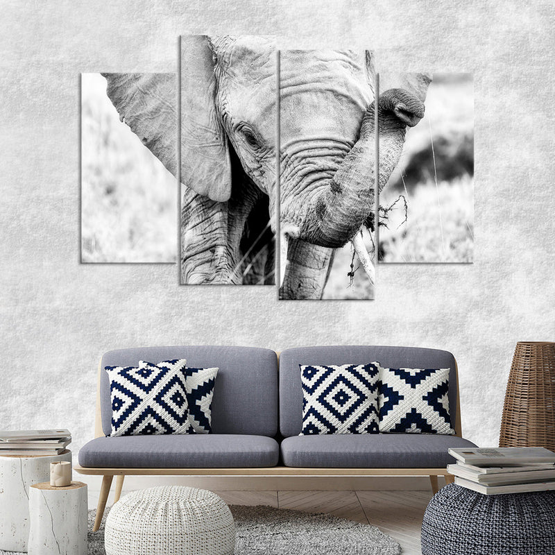 Kenyan Baby Elephant Wall Art
