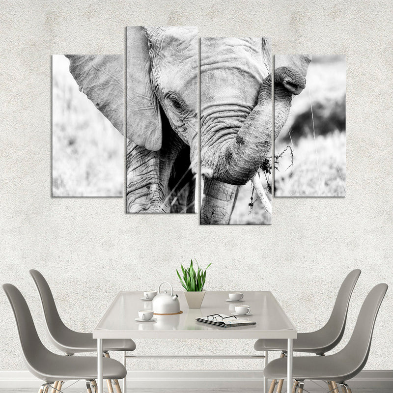 Kenyan Baby Elephant Wall Art