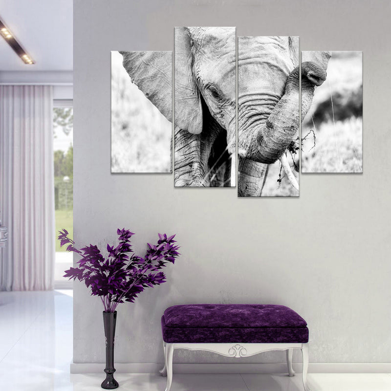 Kenyan Baby Elephant Wall Art