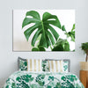 Monstera Leaf Wall Art