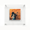 Double Panel Acrylic Floating Wall Frames - CHOOSE YOUR SIZE (Silver/Gold)