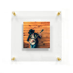Double Panel Acrylic Floating Wall Frames - CHOOSE YOUR SIZE (Silver/Gold)