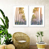 Palm Trees In Los Angeles Wall Art