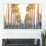 Palm Trees In Los Angeles Wall Art