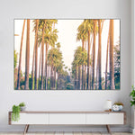 Palm Trees In Los Angeles Wall Art