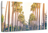 Palm Trees In Los Angeles Wall Art