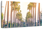 Palm Trees In Los Angeles Wall Art
