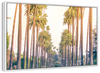 Palm Trees In Los Angeles Wall Art
