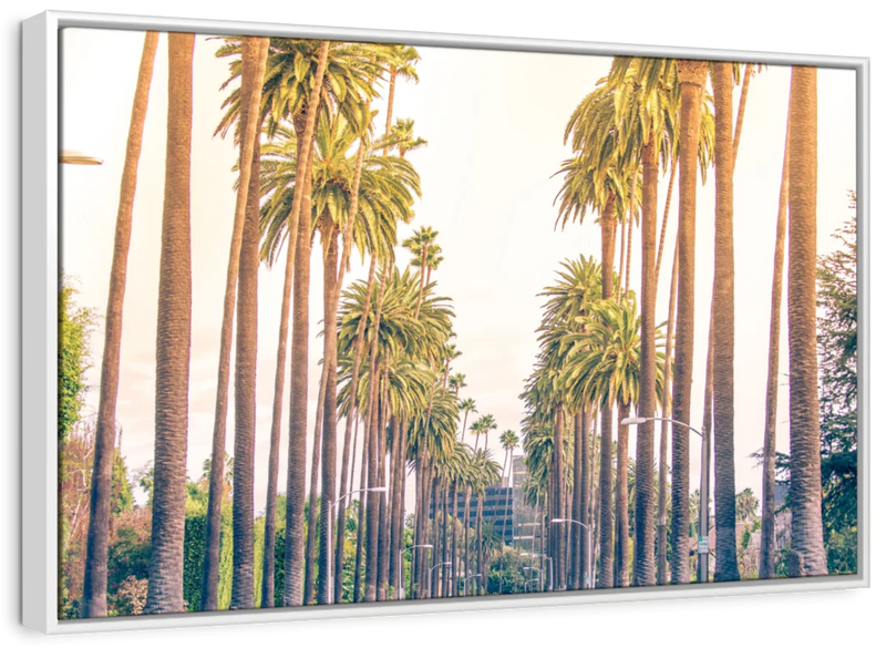 Palm Trees In Los Angeles Wall Art