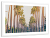 Palm Trees In Los Angeles Wall Art