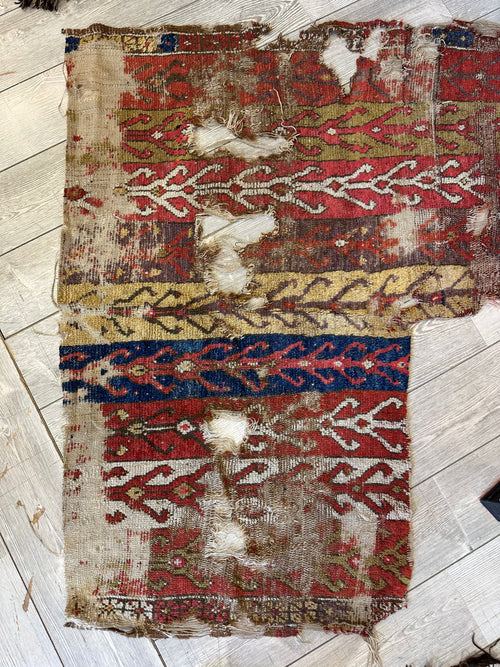 Antique 19th Century Rug Frament