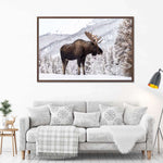 Snowy Moose Wall Art