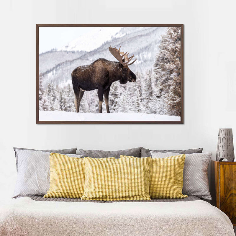 Snowy Moose Wall Art